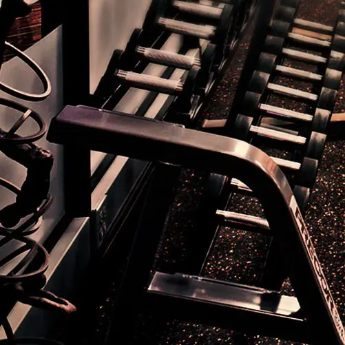 A rack of weights. Fitness Center